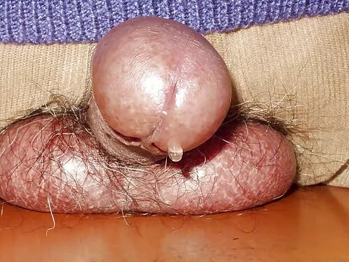 કલાપ્રેમી કર્વી હળવા ...