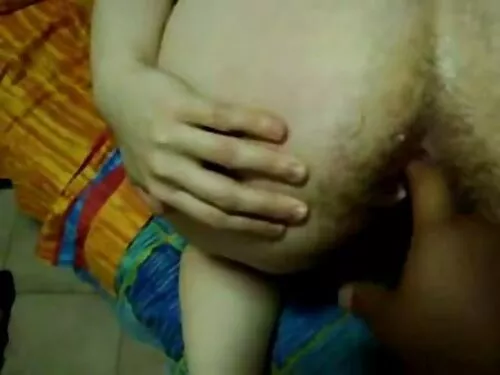 ચેસ્ટનટ જાપાનીઝ Aris ...